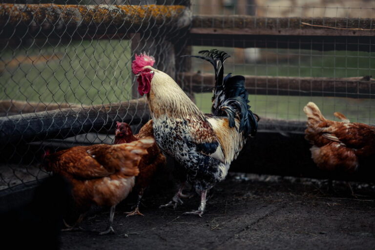 Online Training - Pemanfaatan Lahan yang Tidak Produktif