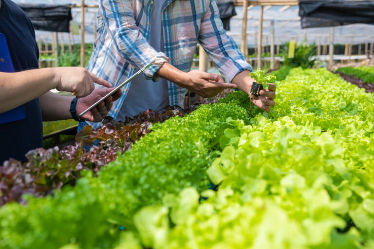 Standar SNI dan Sistem Kontrol Internal (ICS)