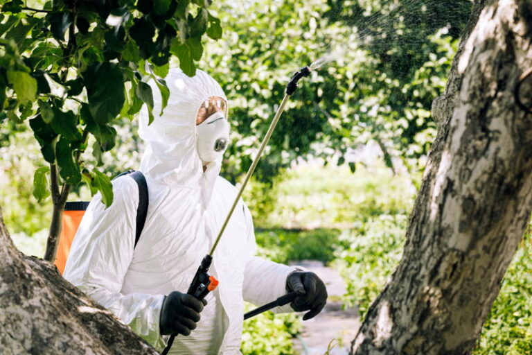 Pest Control Management