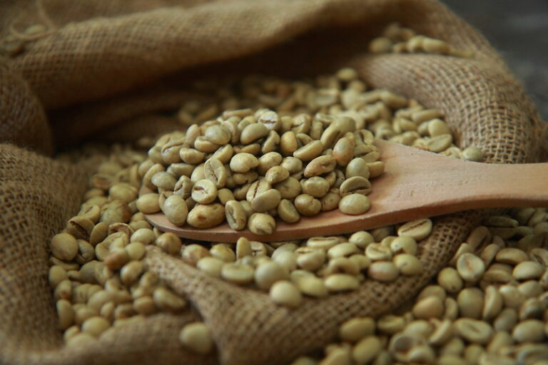Green Bean Processing Natural, Honey, and Washed Process